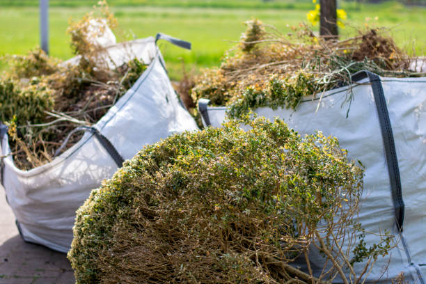 Shed Removal in Charleston, AR